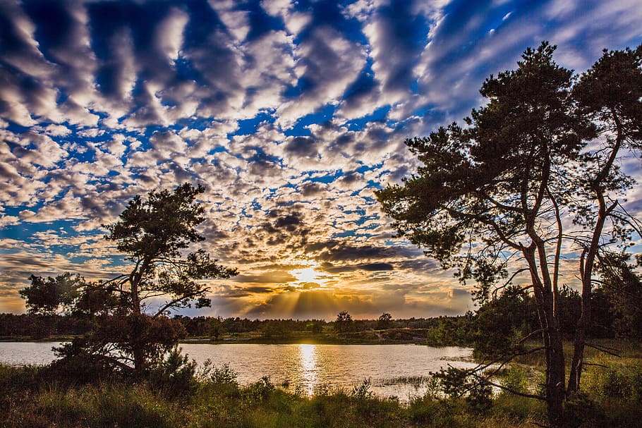 sunset, heide, nature, netherlands, landscape, colorful sunset HD wallpaper