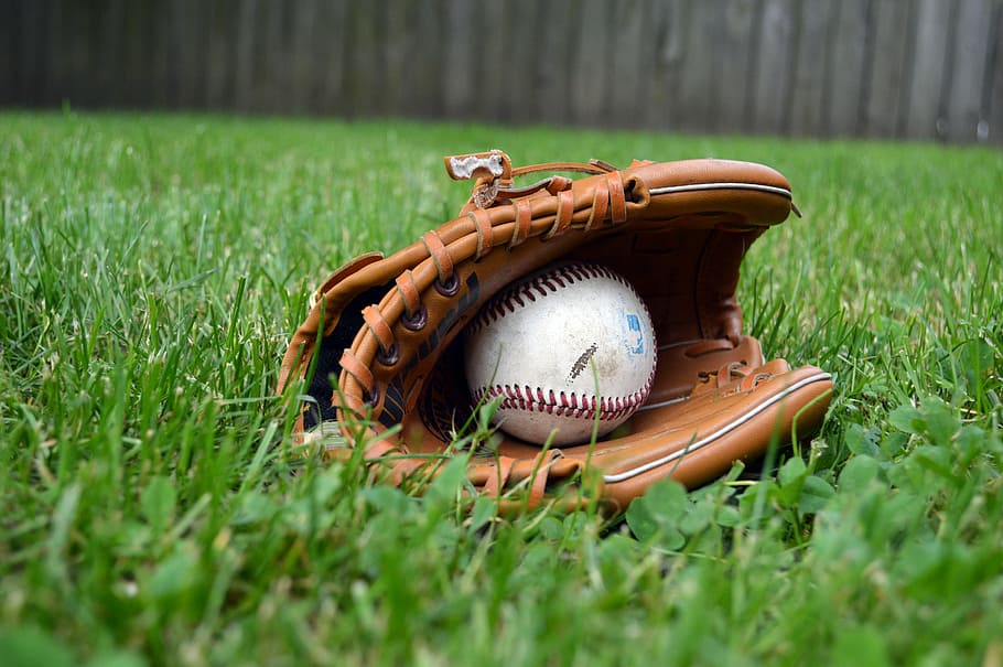 baseball and brown mitt on grass, glove, yard, leather, play HD wallpaper