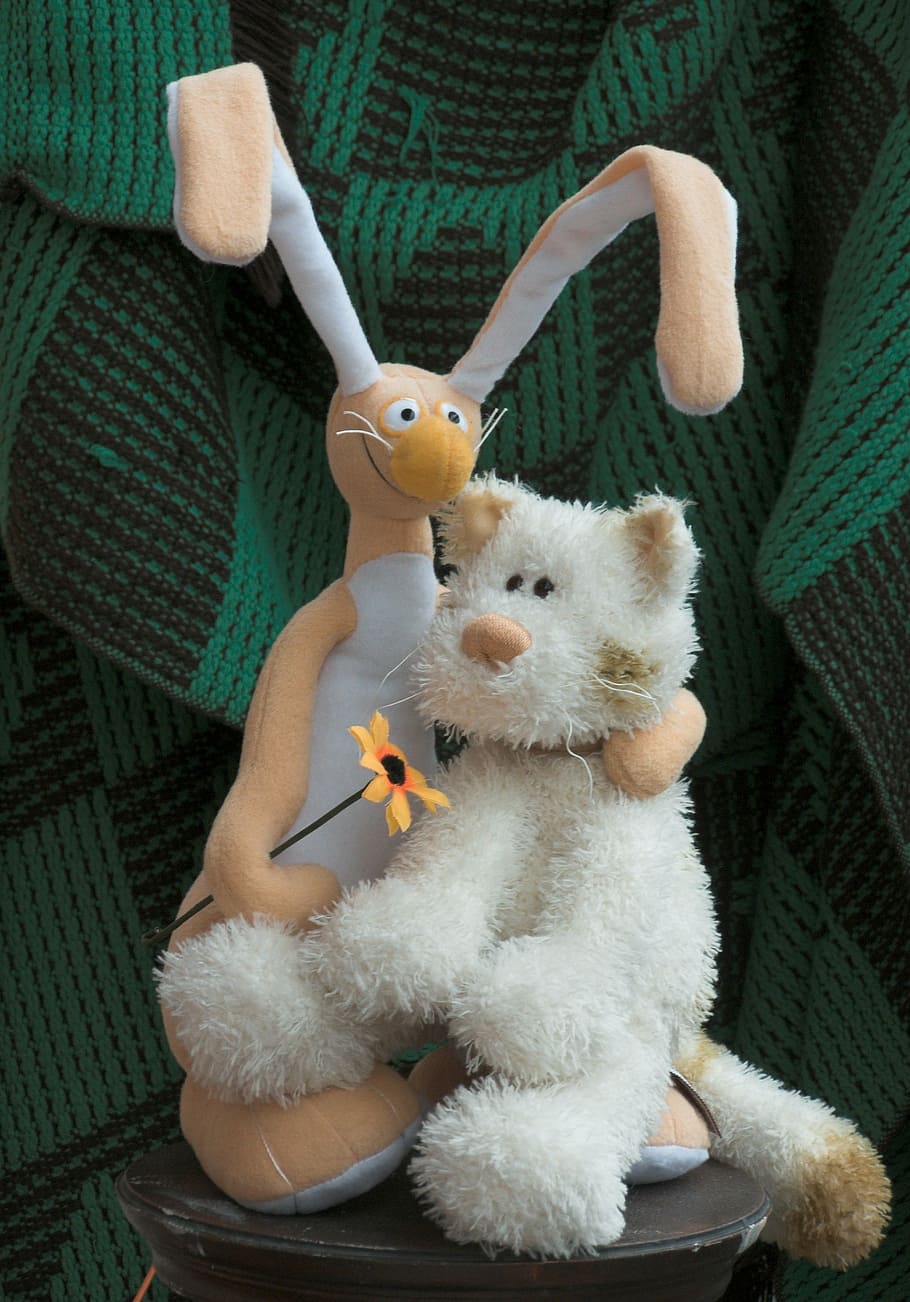 rabbit, cat, stuffed animal, smiling, funny, toy, collection HD wallpaper