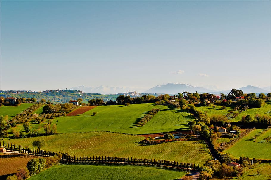 landscape, nature, mountains, trees, green, hill, tranquility HD wallpaper