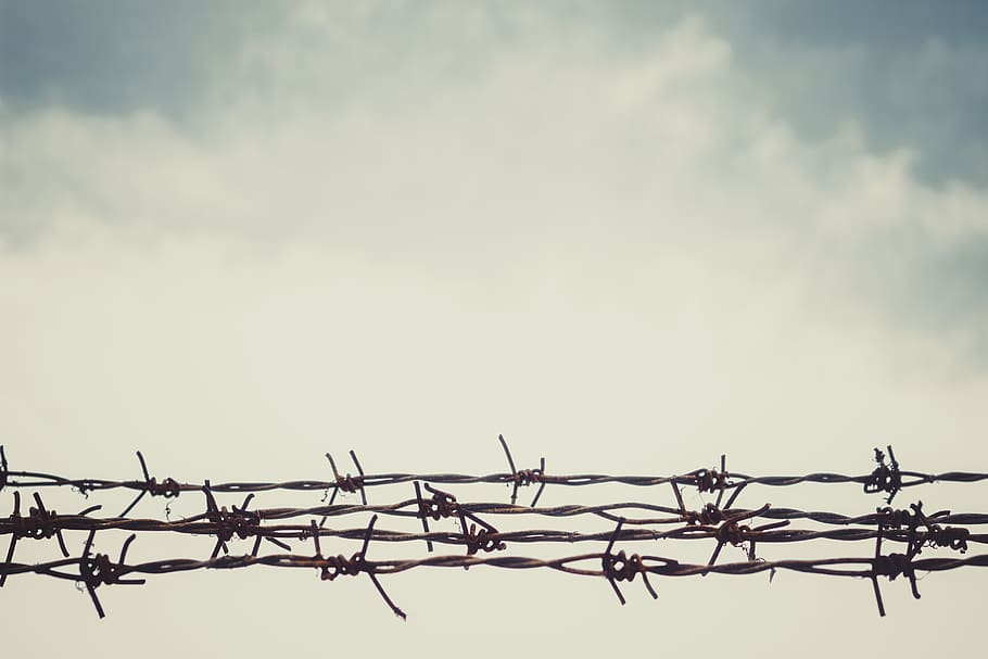 sky, barbed wire, fence, blue, nature, landscape, clouds, summer HD wallpaper