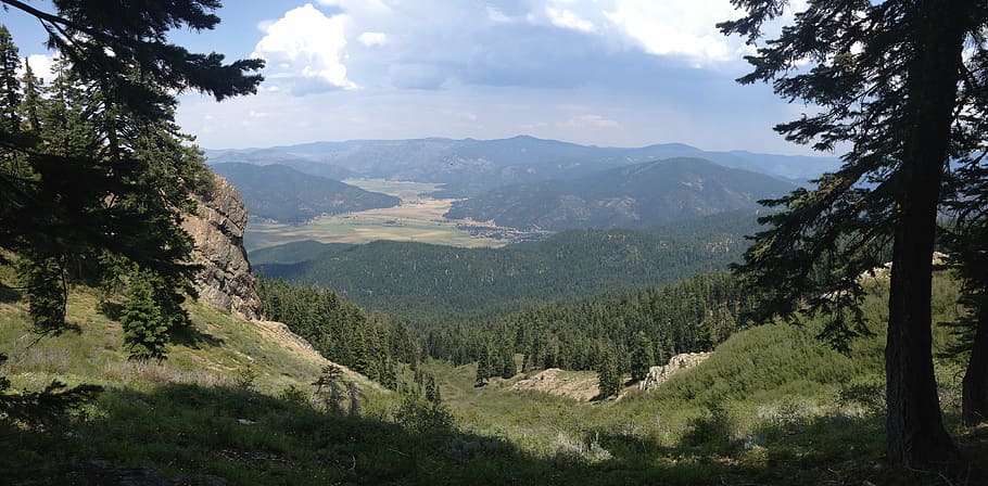 overlook, forest, landscape, mountain, scenic, summer, sky HD wallpaper