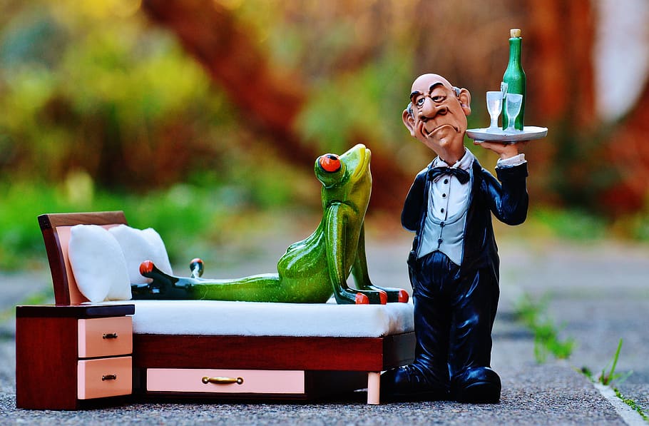 frog, bed, operation, butler, relaxation, rest, funny, cute HD wallpaper