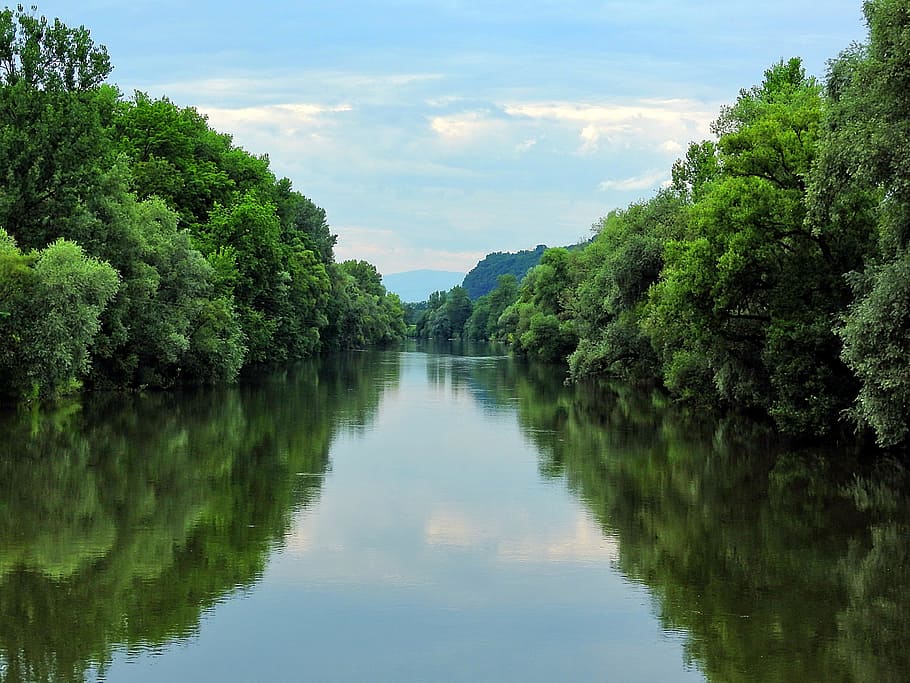 rippling body of water surrounded with trees, Mur, River, Styria HD wallpaper