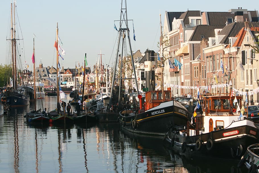 maassluis, port, ships, nautical vessel, transportation, mode of transportation HD wallpaper
