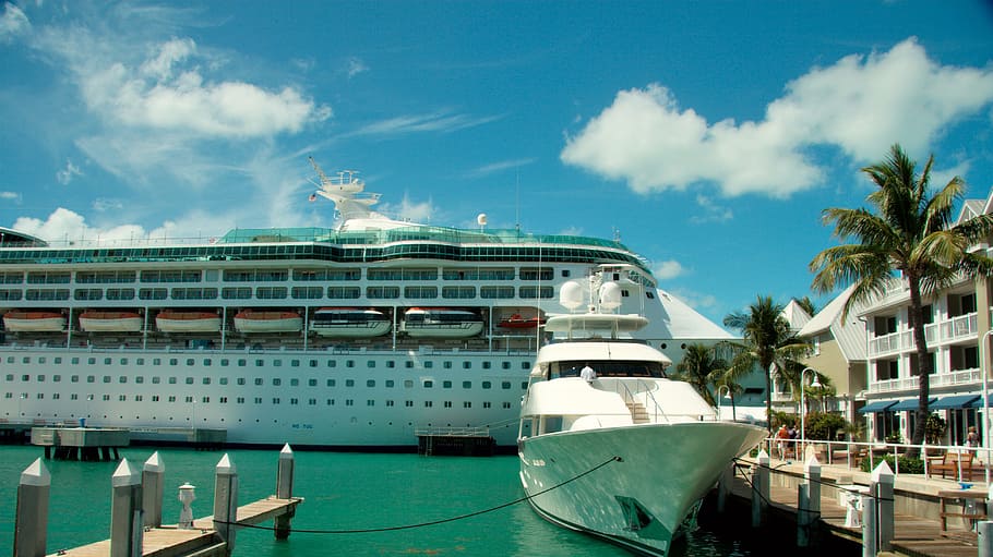 white and black cruise ship near dock, Florida, Coast, Ocean