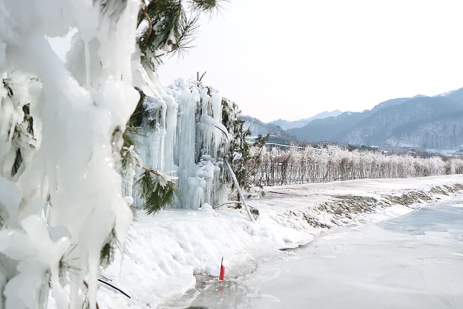 snow, winter, nature, cold, cold temperature, beauty in nature HD wallpaper