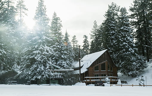 architectural photography of brown house, pine trees near brown house during winter season HD wallpaper