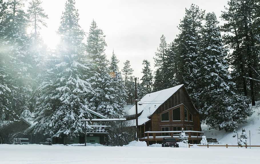 architectural photography of brown house, pine trees near brown house during winter season HD wallpaper