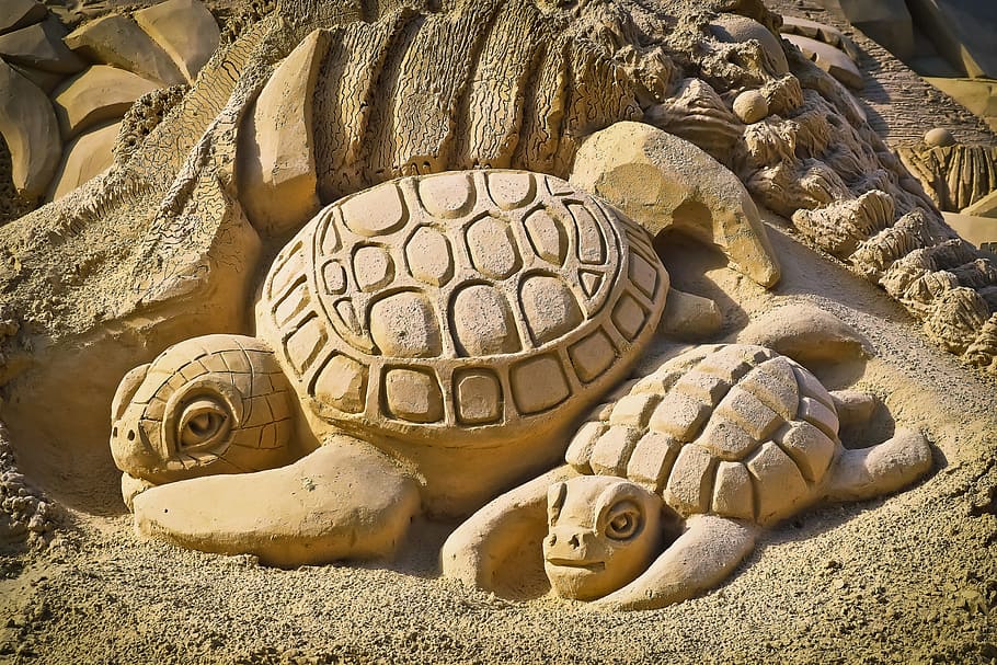 photo of Turtle sand carving, sandburg, art, sand sculpture, statue, HD wallpaper