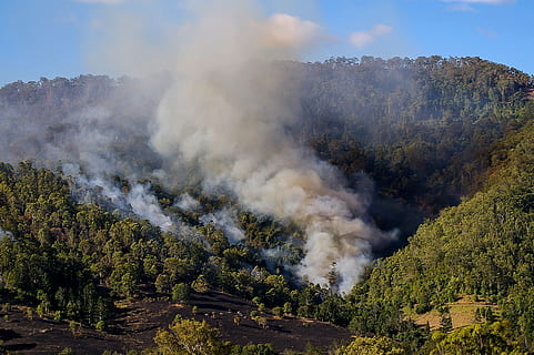 wood fire at daytime, smoke, bushfire, scrub, trees, wildfire HD wallpaper