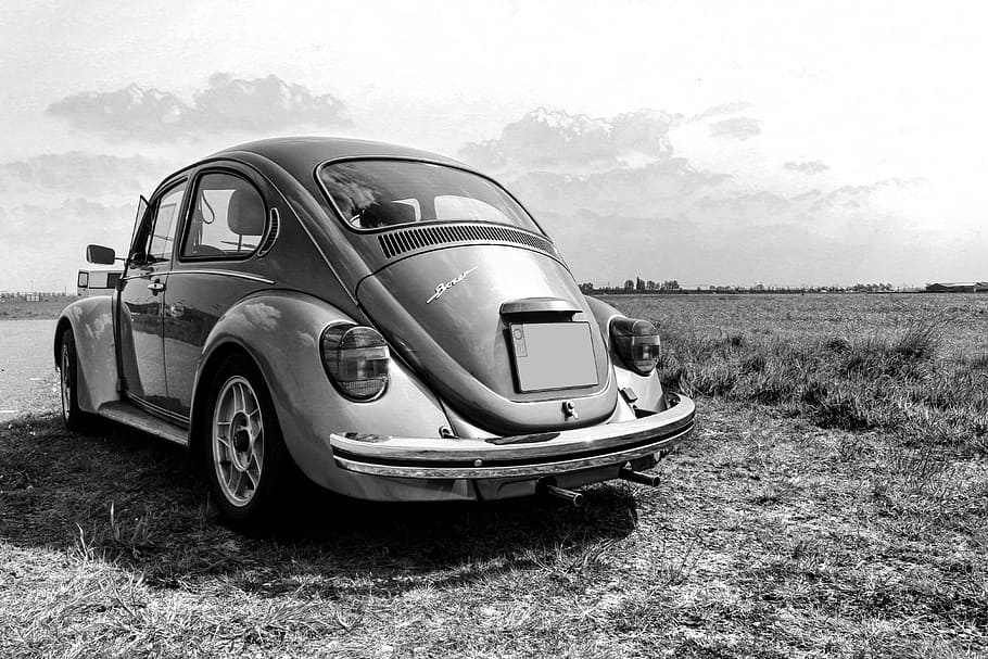 grayscale photo of Volkswagen Beetle coupe, bug, black white HD wallpaper