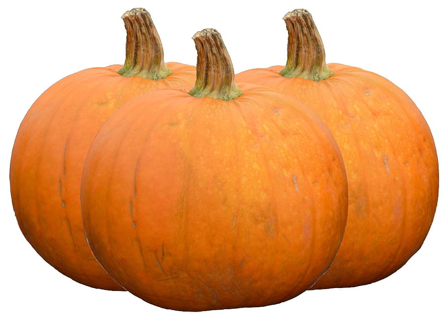 pumpkin, fall, plant, decoration, fruit, juicy, food, ripe HD wallpaper