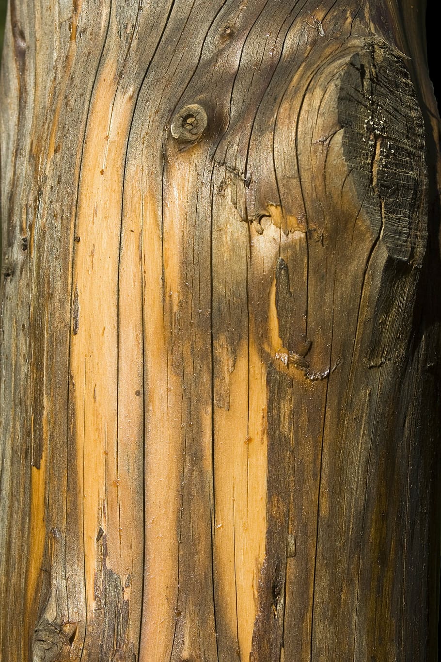 log, bark, tree bark, wood, texture, structure, background HD wallpaper