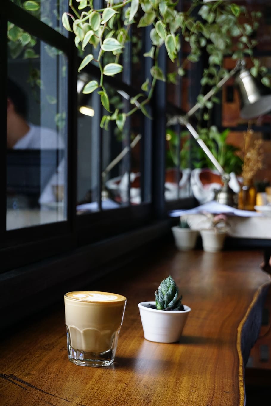 plants, nature, bonsai, glass, wooden, table, coffee, latte, HD wallpaper