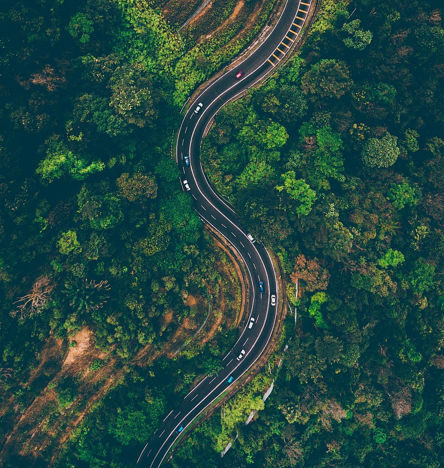 top view of cars on road surrounded by trees, aerial photography of zig-zag road