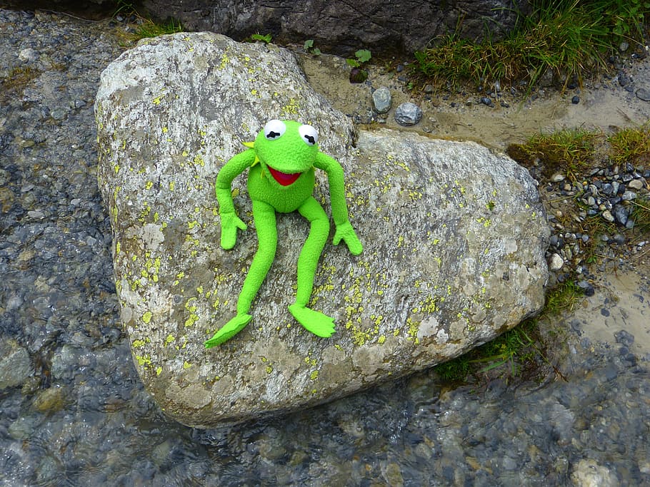 green frog plush toy on rock, stone, heart, kermit, love, nature HD wallpaper