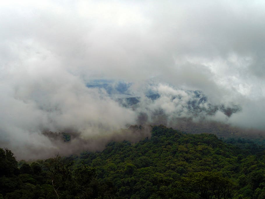 HD wallpaper: rainforest, clouds, tropical, green, nature, costa rica ...