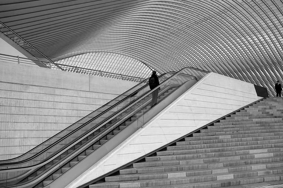train station, liège, guillemins, architecture, belgium, calatrava, HD wallpaper