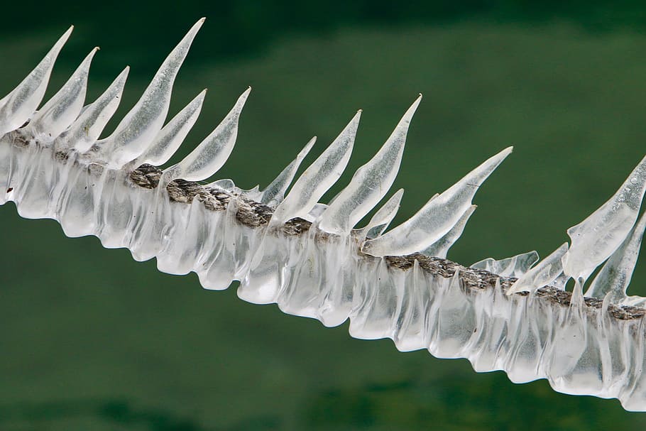 icicle, pointed, dew, frozen, cold, glassy, close-up, green color HD wallpaper