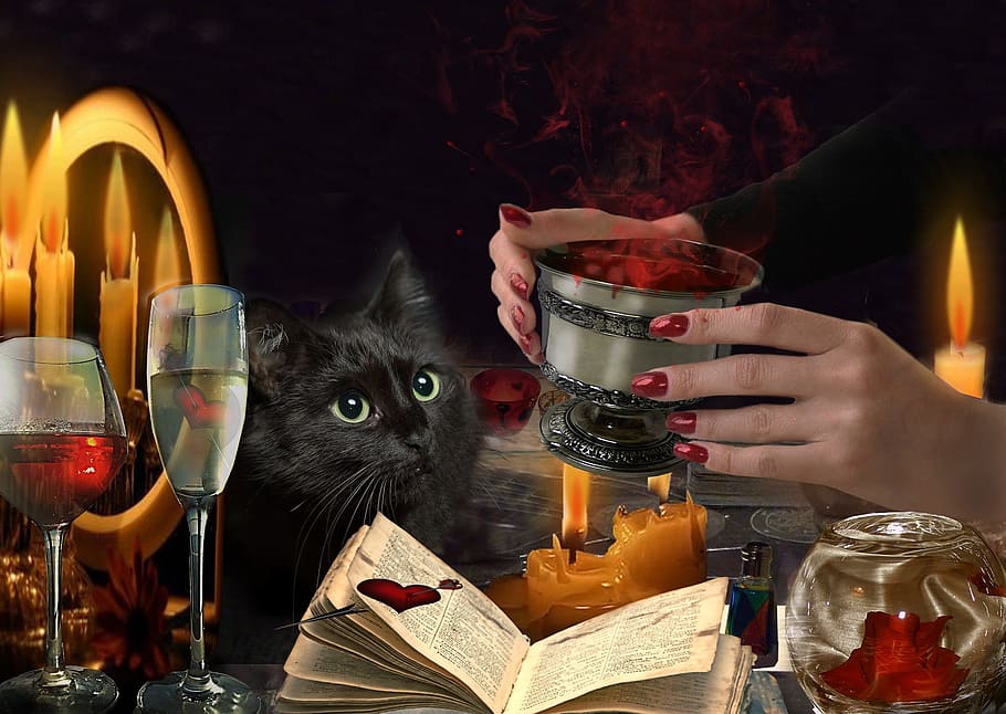 potion hands, cat, fingers, witchcraft, drink, refreshment HD wallpaper