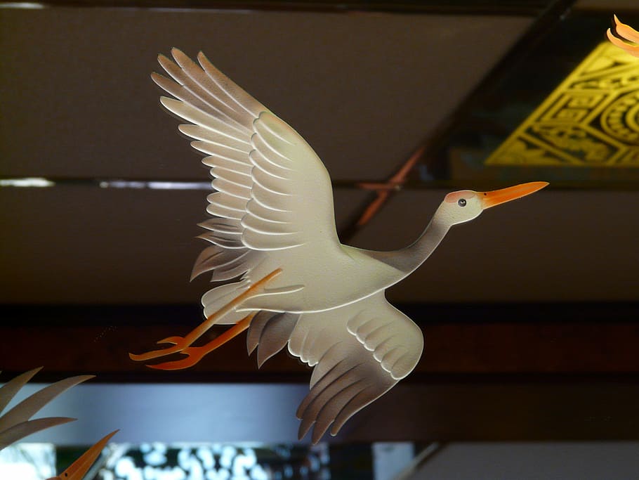 crane, bird, fly, wing, animal themes, vertebrate, one animal HD wallpaper
