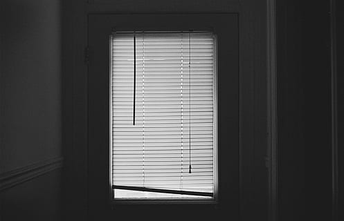 closed white window blinds, shut, dark, room, interior, shadow HD wallpaper
