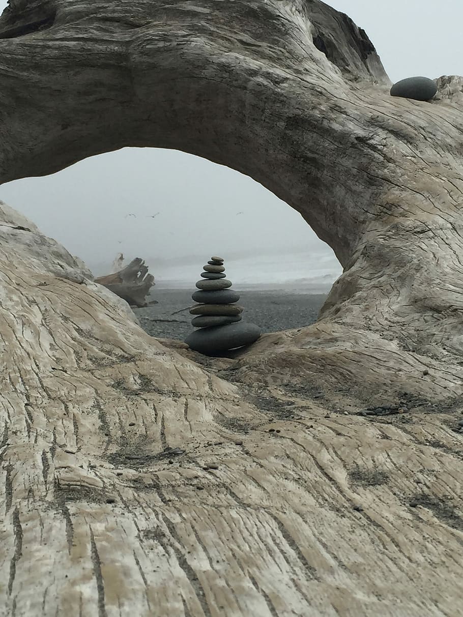 Ocean, Tree, Nature, Beach, Coast, Foggy, sea, rock - object HD wallpaper