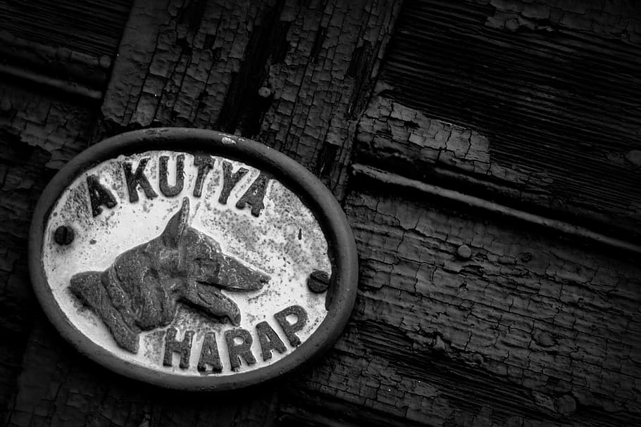 gate, board, dog, bite, biter, entrance, not allowed, black and white HD wallpaper