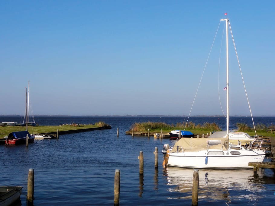 Netherlands, Harbor, Bay, Trees, Boats, ships, spring, summer HD wallpaper