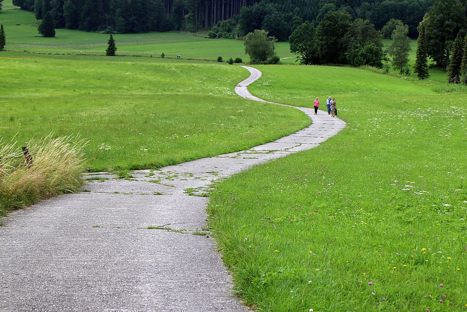 three person walking on farm land, trail, nature, personal HD wallpaper