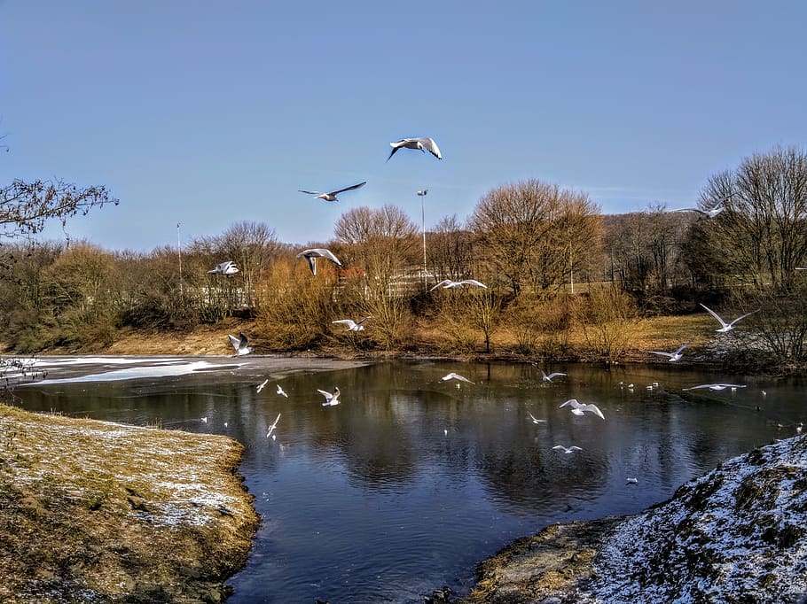 nature, waters, tree, river, landscape, reflection, sky, winter HD wallpaper