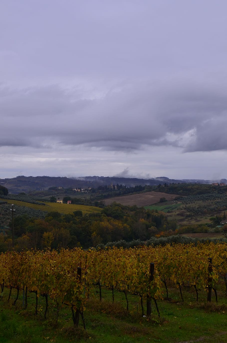 fields, hills, italy, grapes, vineyard, clouds, sky, beauty HD wallpaper