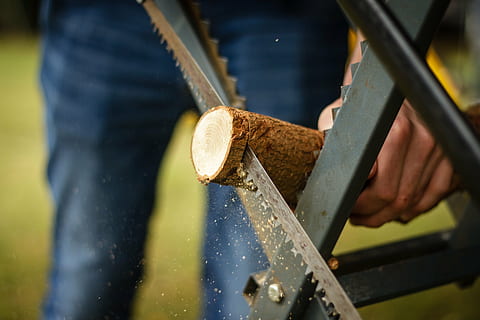 man cutting root crop, saw, log, wood, tree, sawed off, woodworks HD wallpaper