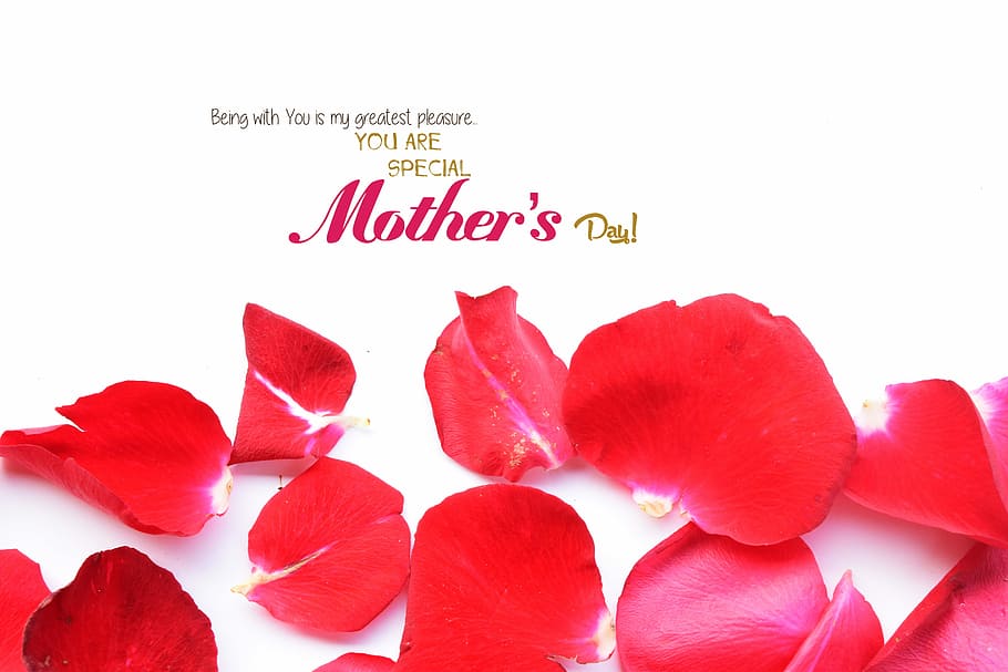 you are special Mother's day red petal flowers illustration, april