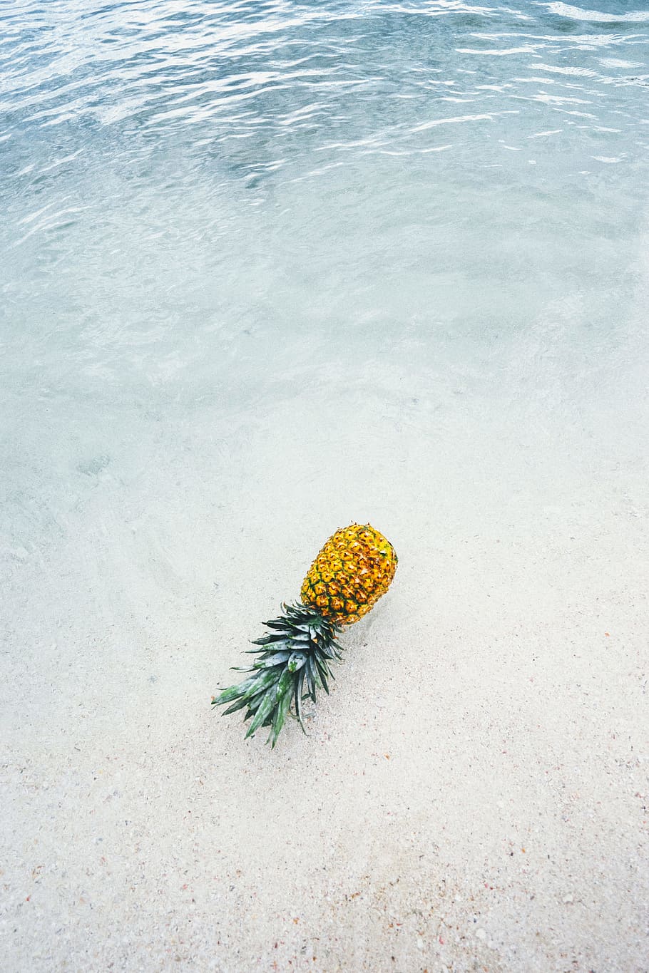 pineapple on seashore, pineapple floating on seashore, Exceptions HD wallpaper