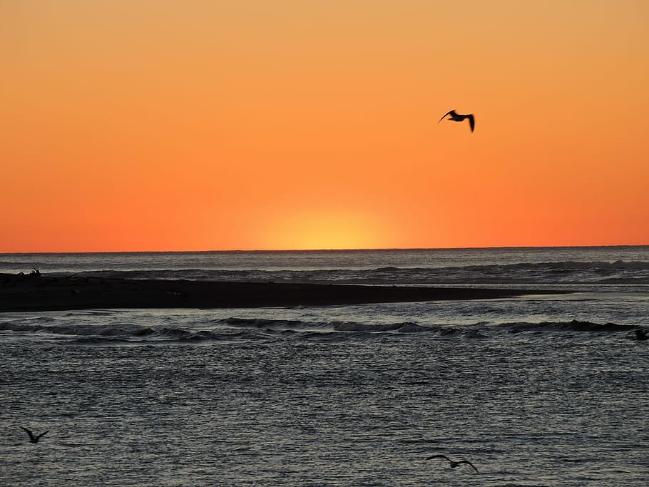 Sunset, Orange, Coast, Oregon, landscape, yellow, horizon, beach HD wallpaper
