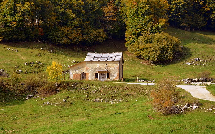 refuge, trail, forest, mountain, nature, excursion, autumn HD wallpaper
