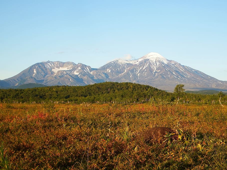 volcano, forest, autumn, mountains, nature, landscape, tranquility HD wallpaper