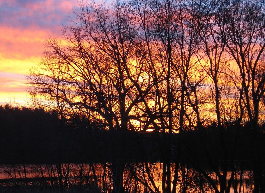 lake, sunrise, trees, sunset, silhouette, tranquility, sky HD wallpaper