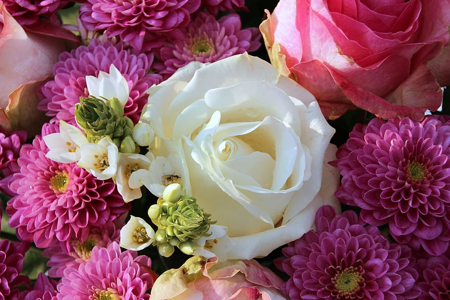 white and purple petaled flower arrangement, bouquet, white rose