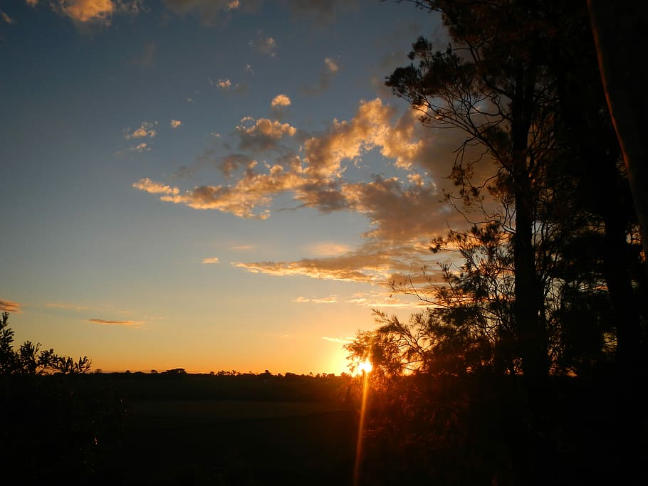Sunset, Sun, Ray, Cloud, Silhouette, evening, dusk, tree, nature HD wallpaper