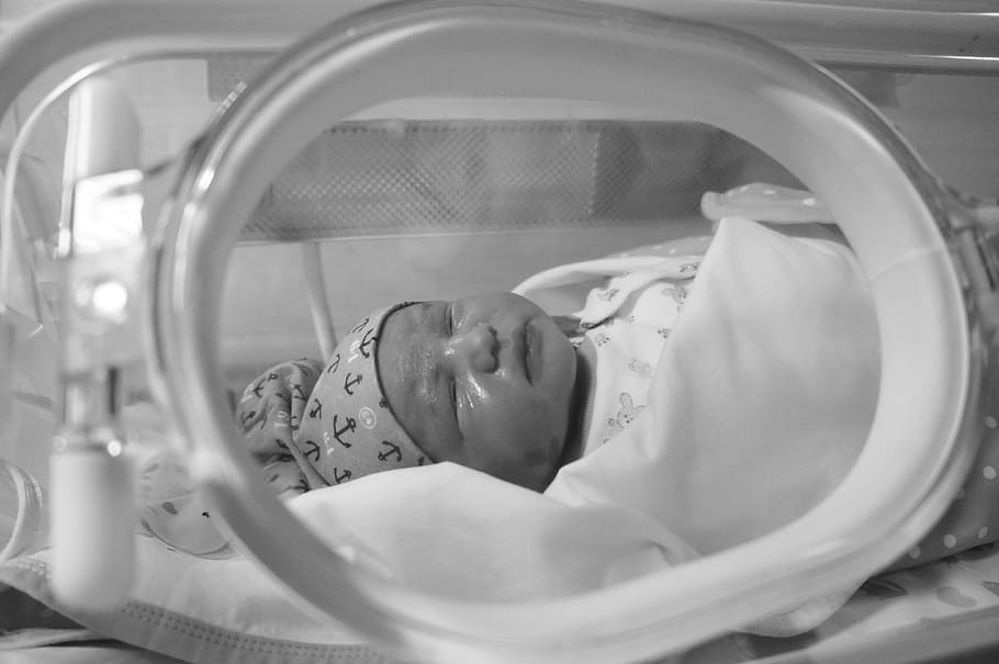 baby inside NICU, small, little, cute, newborn, tiny, incubator