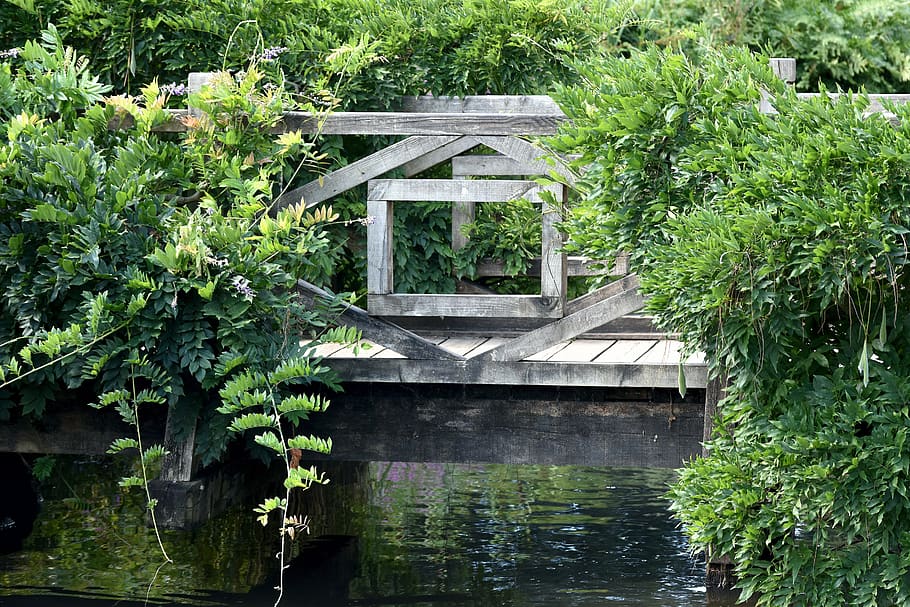 bridge, pond, water, still, tranquil, reflection, vegetation HD wallpaper