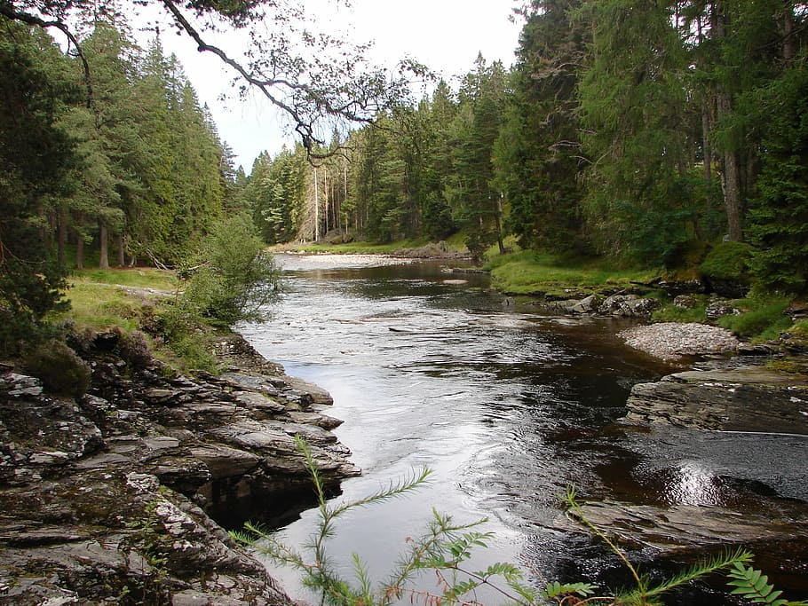 dee, scotland, river, landscape, braemar, tree, water, plant HD wallpaper