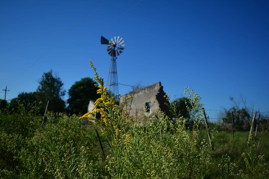 Mill, Field, Uruguay, Landscape, Nature, wind, sky, renewable energy, HD wallpaper