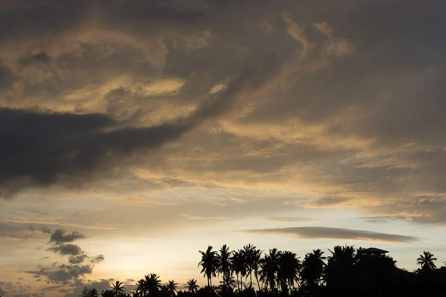 Sky, Sunset, Palmtree, Clouds, Rainy Day, dusk, evening, cloud - sky HD wallpaper