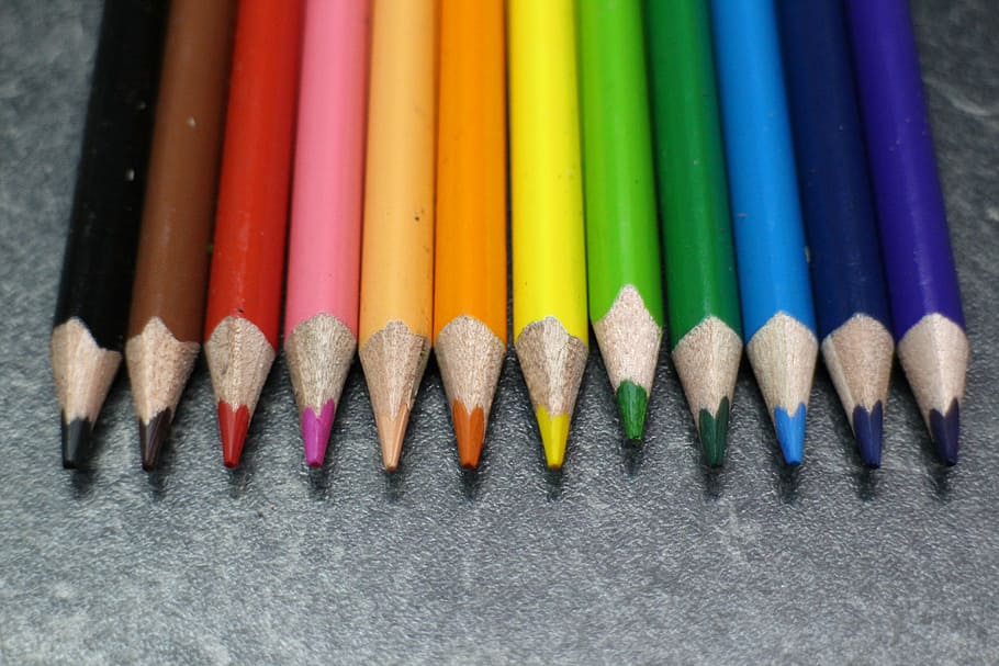 pencils, school, accessory, education, drawing, student, color HD wallpaper