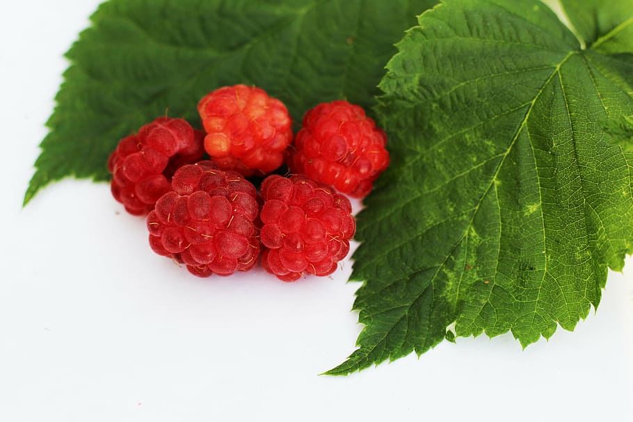 raspberry, foliage, fruit, freshness, food, ripe, leaf, berry Fruit HD wallpaper