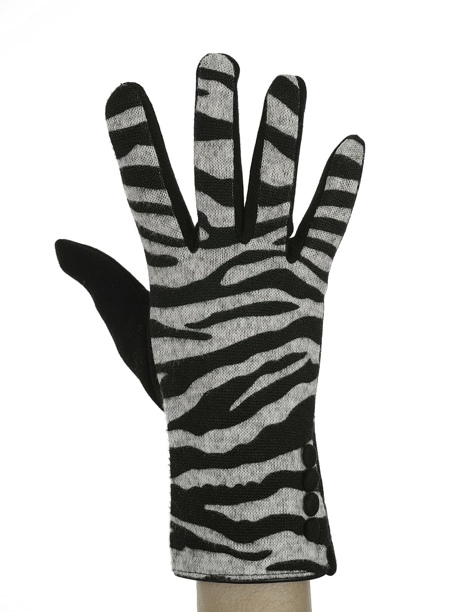 zebra, black, glove, el, finger, msn letters, concepts, white fund HD wallpaper